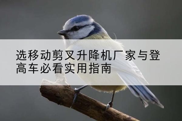 湖州电动升降机厂家-选移动剪叉升降机厂家与登高车必看实用指南