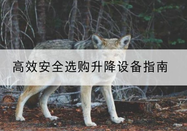湖州升降货梯厂家推荐-*安全选购升降设备指南