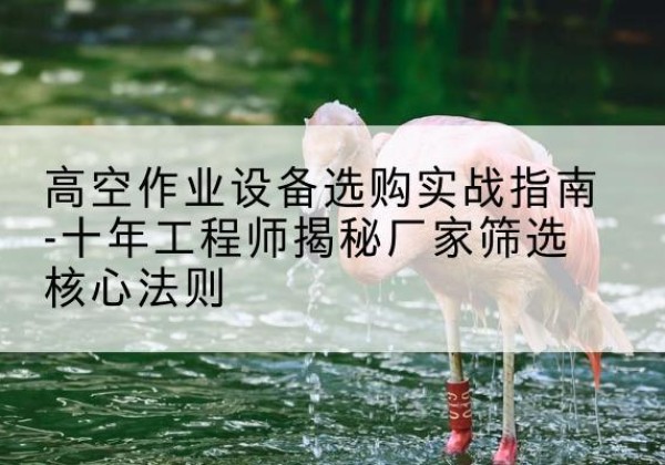 湖州剪叉式升降机厂家-高空作业设备选购实战指南-十年工程师揭秘厂家筛选核心法则